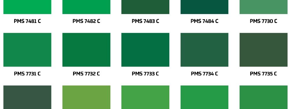 Rupture de stock de peinture verte